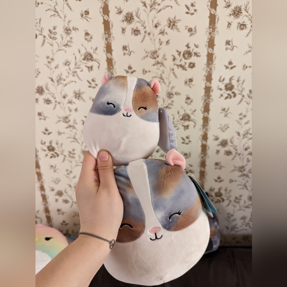 2 Pax Squishmallows
